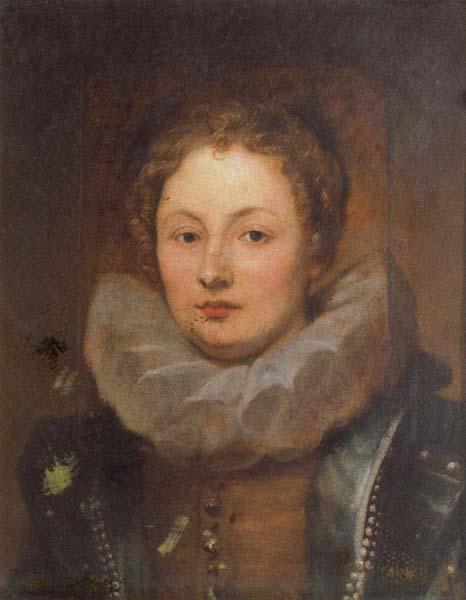 Anthony Van Dyck Portrait of a Noblewoman Sweden oil painting art